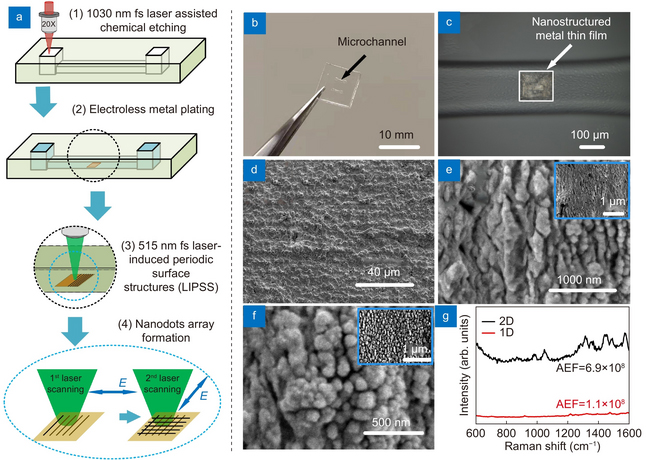 Schematic of the fabrication, photograph of microfluidic SERS chip, optical microscope image showing the SERS substrate, SEM images of original metal film, ripples generated by first laser scanning and nanodots generated by second laser scanning, Raman spectra of 10–9 M Rhodamine 6G (on 2-D and 1-D nanostructured SERS substrates