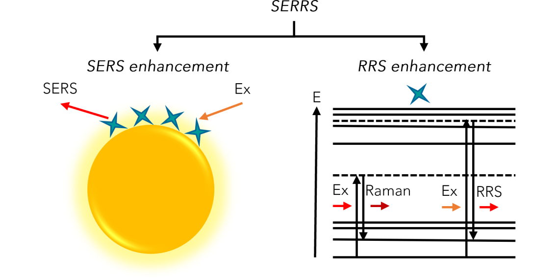 Illustration of the SERRS technique
