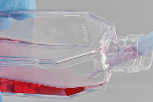 Photo of cell culture bottle