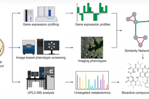 Diagram showing the integrated approach for drug discovery