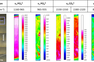 Chemical distribution of carbonates and phosphates in a tooth by band vibration.