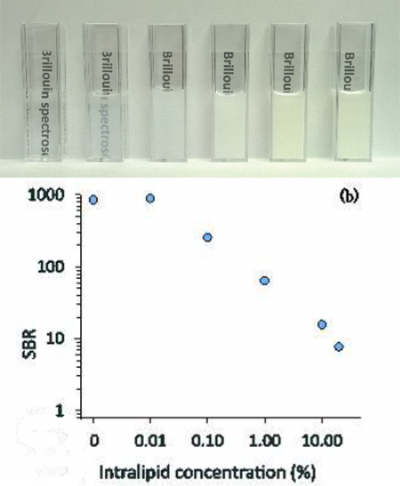 Top: Intralipid solutions of 0%, 0.01%, 0.1%, 1%, 10% and 20% concentrations; the new three-stage spectrometer can suppress the background light of up to a 5% Intralipid solution with a total loss of over 90%. Bottom: the signal-to-background ratio of Brillouin spectra for the concentrations. Credit: G. Scarcelli/UMD