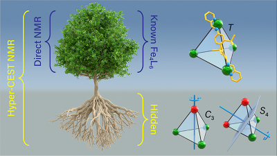 Hyper-CEST as ultra-sensitive NMR spectroscopy tool reveals two previously “hidden” structures of metal-organic cages. Visualisation: Barth van Rossum, FMP Visualisation of Hyper-CEST to reveal two previously “hidden” structures of metal-organic cages.