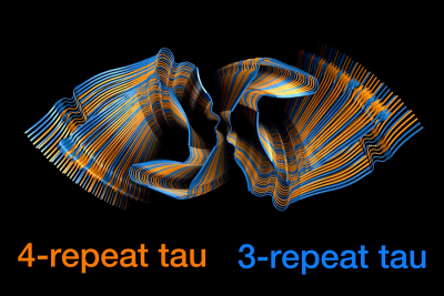 MIT chemists have used nuclear magnetic resonance (NMR) spectroscopy to reveal how two different forms of the Tau protein mix to form the tangles seen in the brains of Alzheimer’s patients. Credit: Aurelio Dregni/Nadia El-Mammeri/Hong Lab at MIT Drawing of the two types of tau protein