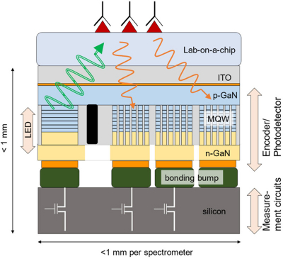 Conceptual illustration of the strategies used to achieve a miniature, ultra-thin spectrometer chip utilizing an array of GaN-based spectral encoders and photodetectors on the same chip. A light source is also integrated into the device. Conceptual illustration of the strategies used to achieve the miniature spectrometer chip