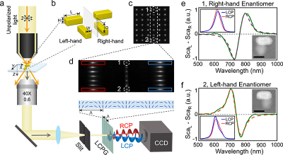 a Schematic drawing of the LCPG-based polarisation-dispersive spectrometer. The inset illustrates the director distribution of the liquid crystal in the grating. b Structure of the vertically coupled nanorod pairs used in this work. c Dark-field image of an array of vertically coupled nanorod pairs with different geometrical parameters. The period of the array is 3 μm. d Spectral image of array of nanorod pairs labelled in c. The RCP and LCP components are labelled with red and blue boxes, respectively. e and f are the SCD spectra of sample 1 and 2 in c, respectively. The insets show the correlated SEM image of samples, as well as the left-hand and right-hand circularly polarised components of the scattered light of sample labelled in d. Scalebar: 100 nm. Credit: Shuang Zhou, Jie Bian, Peng Chen, Mo Xie, Jie Chao, Wei Hu, Yanqing Lu, and Weihua Zhang