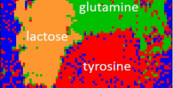 K-means cluster analysis of a mixture of three different biomolecules, α-lactose, L-tyrosine, L-glutamine. The algorithm uses the significant spectral components of the substances for their identification and localisation.