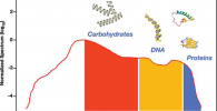 Diagram showing the emission spectrum of the laser and molecular fingerprint regions