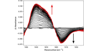Time Resolved difference IR spectra