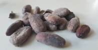 Photo of cocoa beans