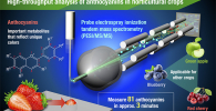 Conceptual diagram of high-throughput analysis for anthocyanins in horticultural crops using PESI/MS/MS. Credit: Dr Issey Takahashi Conceptual diagram of high-throughput analysis for anthocyanins in horticultural crops using PESI/MS/MS