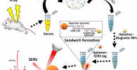 Schematic illustration of SERS detection of exosomal miR-122 in mice exposed to X-ray irradiation (adopted from the paper in ACS Applied Bio Materials, doi: 10.1021/acsabm.1c00845) Credit: Muhammad Muhamma