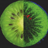 MS image of the ingredients of a kiwi